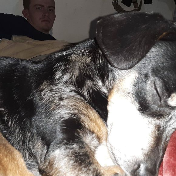 Meet your Posher, Coralee - Picture 1 of 1